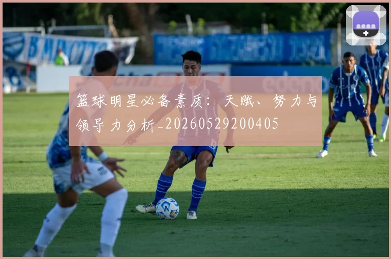 篮球明星必备素质：天赋、努力与领导力分析_20260529200405