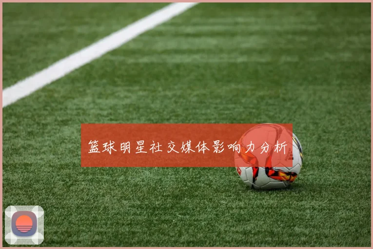 篮球明星社交媒体影响力分析